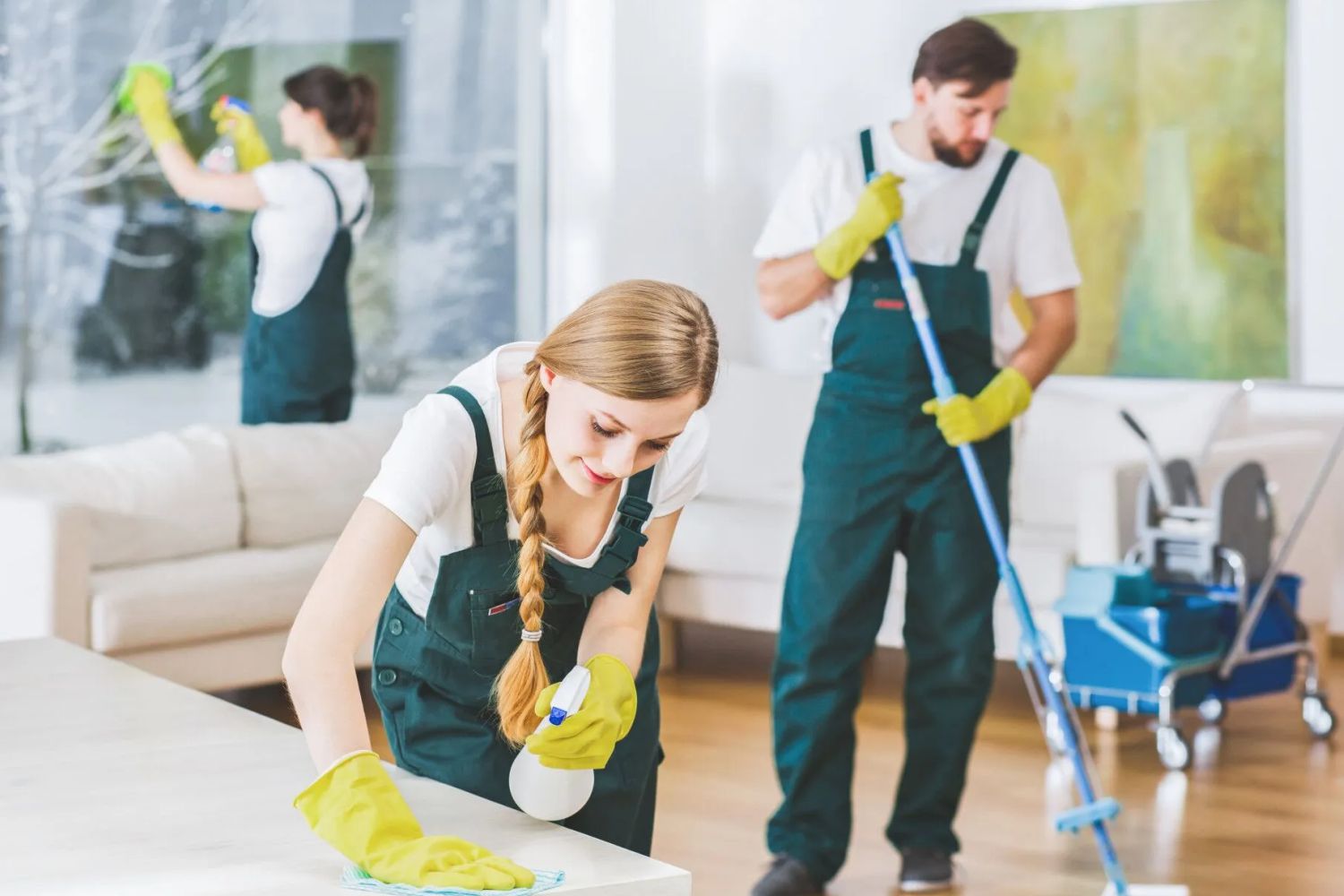 Standard Cleaning