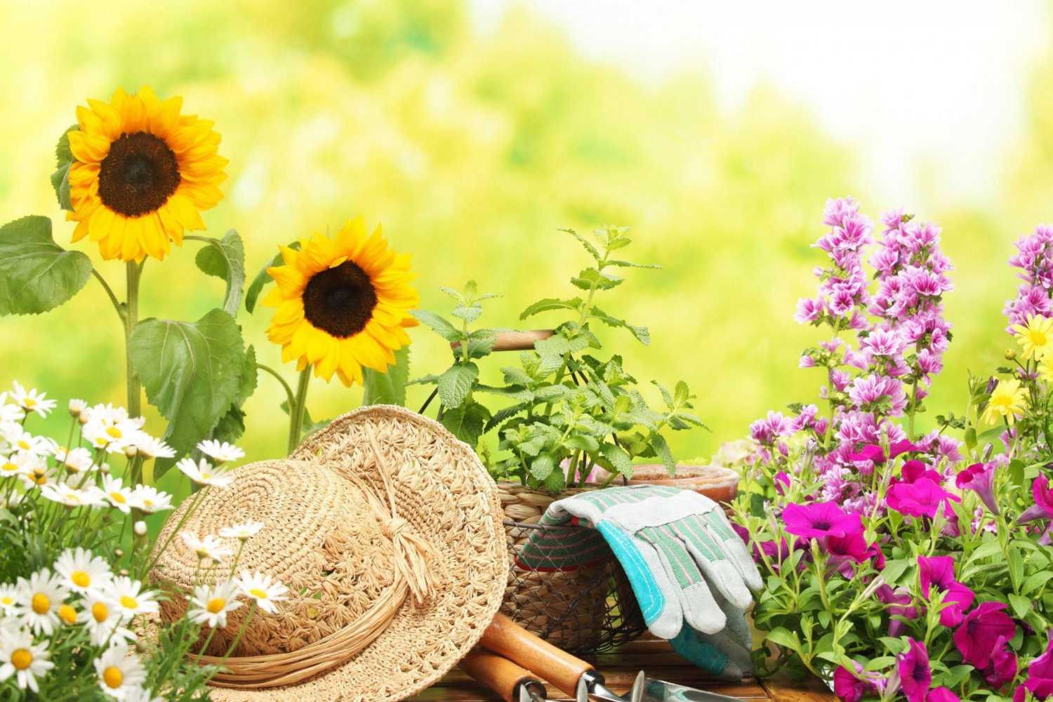 Gardening